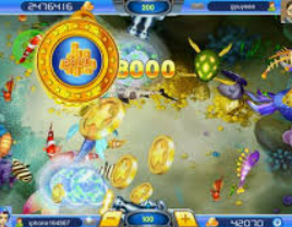 c7下载2024最新版